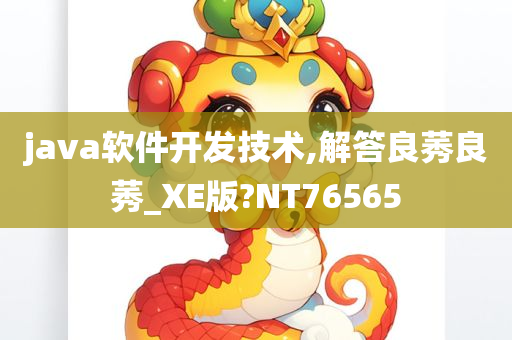 java软件开发技术,解答良莠良莠_XE版?NT76565