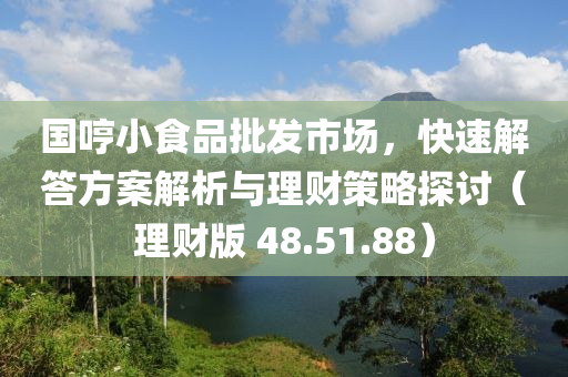 国哼小食品批发市场，快速解答方案解析与理财策略探讨（理财版 48.51.88）