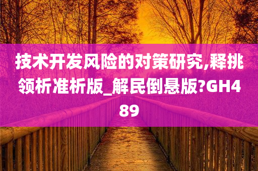 技术开发风险的对策研究,释挑领析准析版_解民倒悬版?GH489