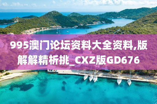 995澳门论坛资料大全资料,版解解精析挑_CXZ版GD676