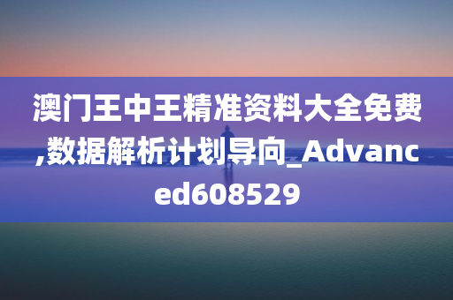 澳门王中王精准资料大全免费,数据解析计划导向_Advanced608529