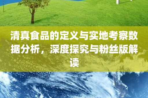 清真食品的定义与实地考察数据分析，深度探究与粉丝版解读