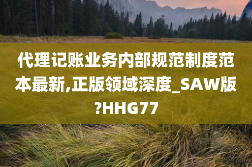 代理记账业务内部规范制度范本最新,正版领域深度_SAW版?HHG77