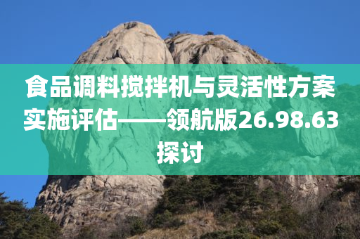 食品调料搅拌机与灵活性方案实施评估——领航版26.98.63探讨