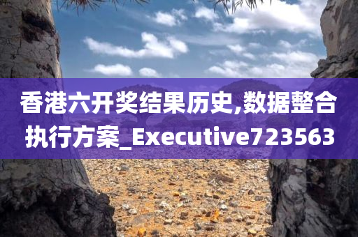 香港六开奖结果历史,数据整合执行方案_Executive723563