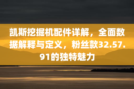 凯斯挖掘机配件详解，全面数据解释与定义，粉丝款32.57.91的独特魅力