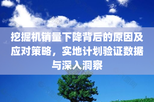 挖掘机销量下降背后的原因及应对策略，实地计划验证数据与深入洞察