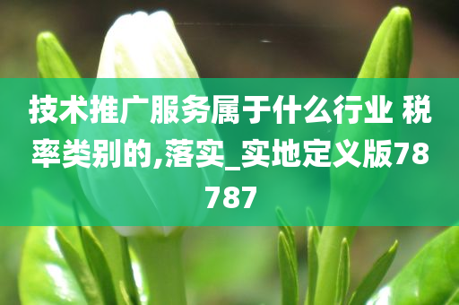 技术推广服务属于什么行业 税率类别的,落实_实地定义版78787