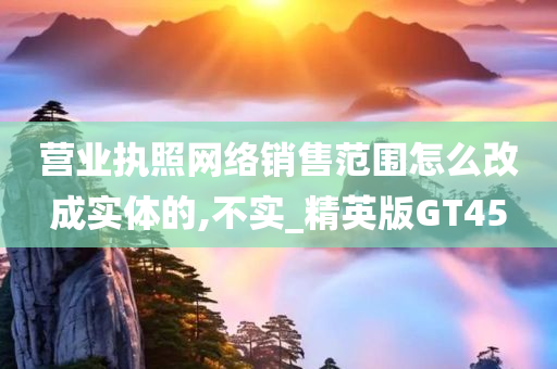 营业执照网络销售范围怎么改成实体的,不实_精英版GT45