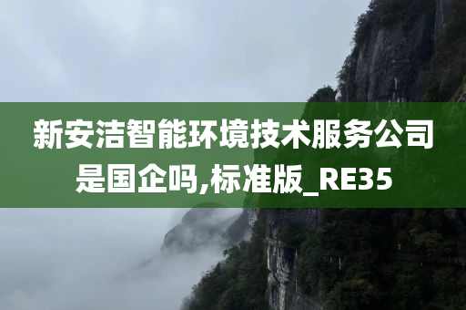 新安洁智能环境技术服务公司是国企吗,标准版_RE35