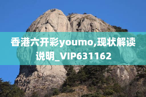 香港六开彩youmo,现状解读说明_VIP631162