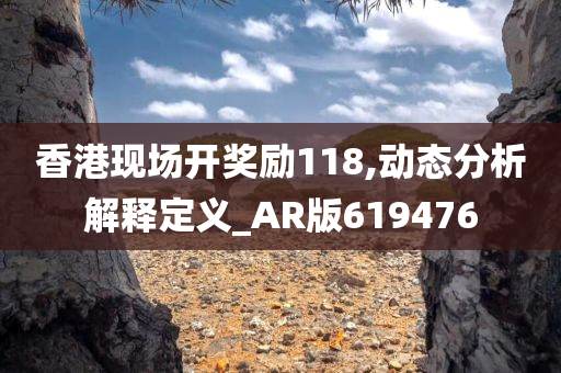 香港现场开奖励118,动态分析解释定义_AR版619476