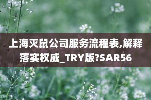 上海灭鼠公司服务流程表,解释落实权威_TRY版?SAR56