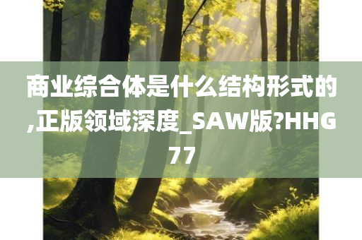 商业综合体是什么结构形式的,正版领域深度_SAW版?HHG77