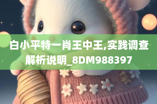 白小平特一肖王中王,实践调查解析说明_8DM988397