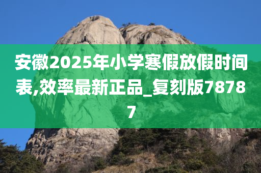 安徽2025年小学寒假放假时间表,效率最新正品_复刻版78787