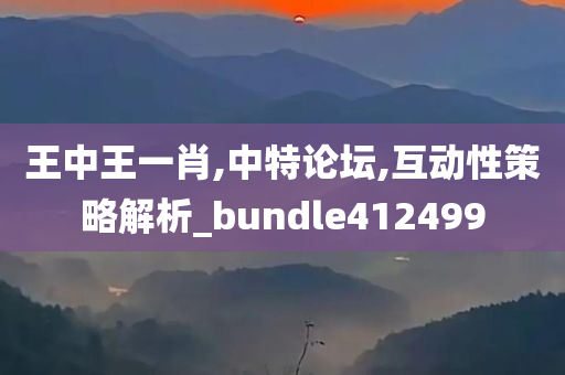 王中王一肖,中特论坛,互动性策略解析_bundle412499