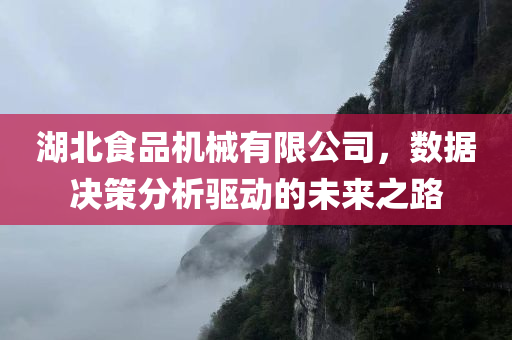 湖北食品机械有限公司，数据决策分析驱动的未来之路