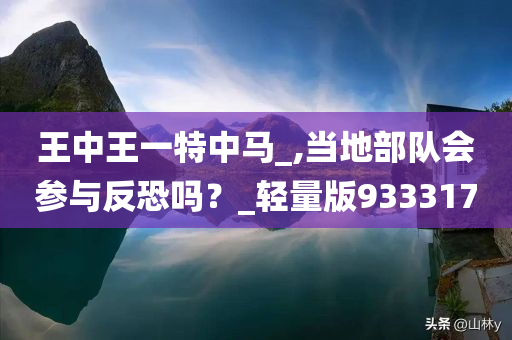 王中王一特中马_,当地部队会参与反恐吗？_轻量版933317