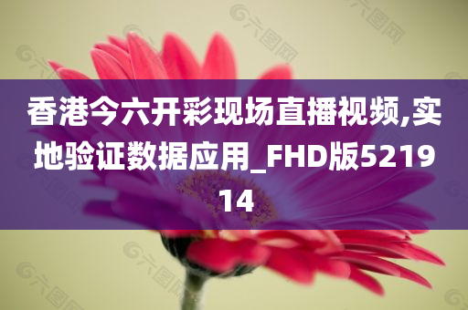 香港今六开彩现场直播视频,实地验证数据应用_FHD版521914