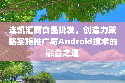 连凯汇商食品批发，创造力策略实施推广与Android技术的融合之道