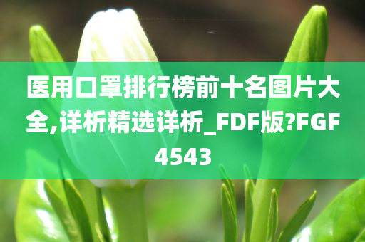 医用口罩排行榜前十名图片大全,详析精选详析_FDF版?FGF4543