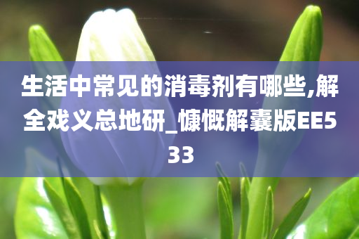 生活中常见的消毒剂有哪些,解全戏义总地研_慷慨解囊版EE533