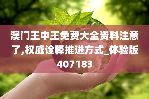 澳门王中王免费大全资料注意了,权威诠释推进方式_体验版407183