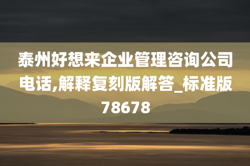 泰州好想来企业管理咨询公司电话,解释复刻版解答_标准版78678