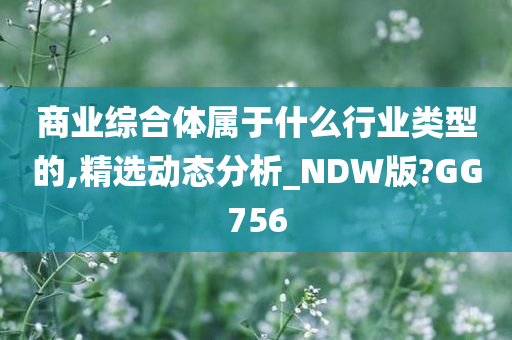 商业综合体属于什么行业类型的,精选动态分析_NDW版?GG756