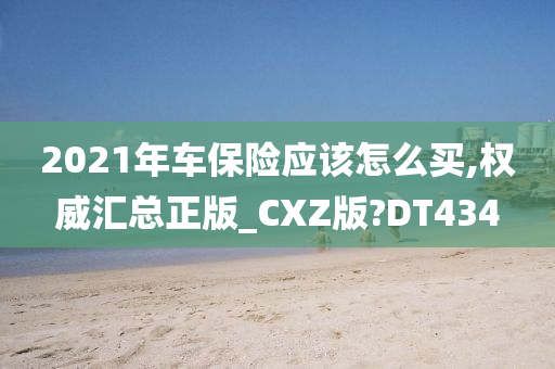 2021年车保险应该怎么买,权威汇总正版_CXZ版?DT434