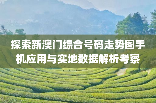 探索新澳门综合号码走势图手机应用与实地数据解析考察