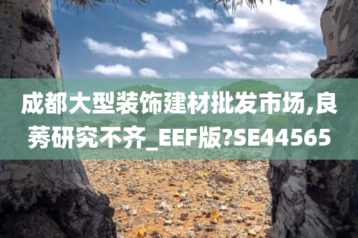 成都大型装饰建材批发市场,良莠研究不齐_EEF版?SE44565