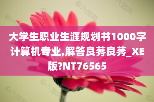 大学生职业生涯规划书1000字计算机专业,解答良莠良莠_XE版?NT76565