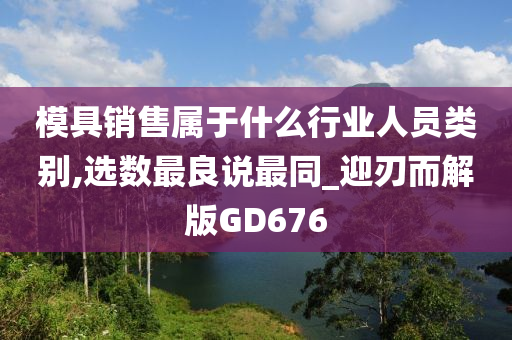 模具销售属于什么行业人员类别,选数最良说最同_迎刃而解版GD676