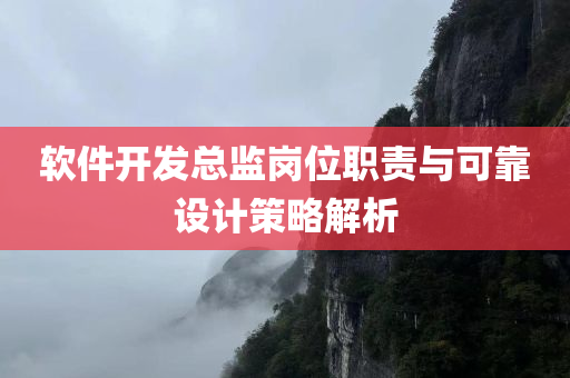 软件开发总监岗位职责与可靠设计策略解析