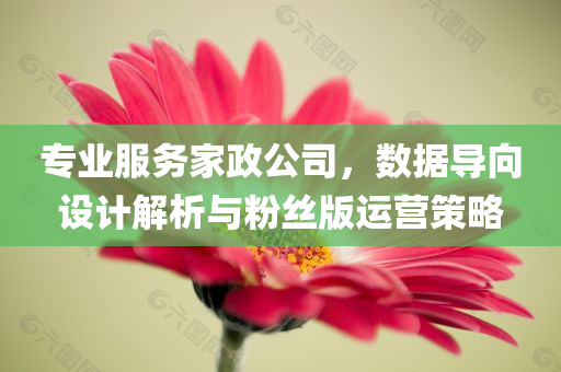 专业服务家政公司，数据导向设计解析与粉丝版运营策略