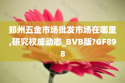 郑州五金市场批发市场在哪里,研究权威动态_BVB版?GF898