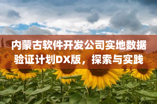 内蒙古软件开发公司实地数据验证计划DX版，探索与实践