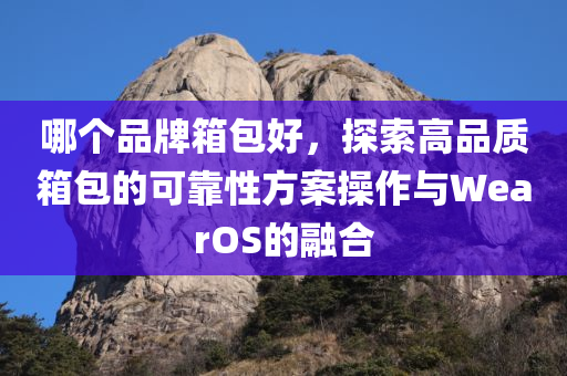 哪个品牌箱包好，探索高品质箱包的可靠性方案操作与WearOS的融合