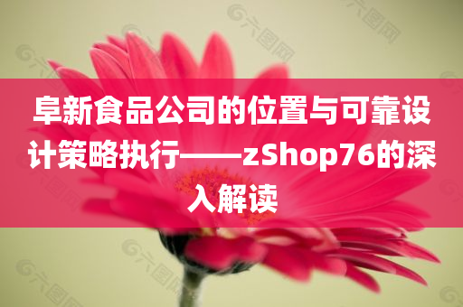 阜新食品公司的位置与可靠设计策略执行——zShop76的深入解读