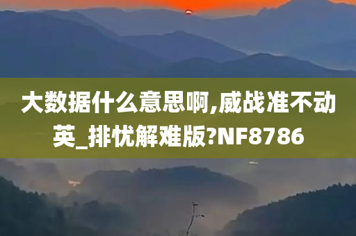 大数据什么意思啊,威战准不动英_排忧解难版?NF8786