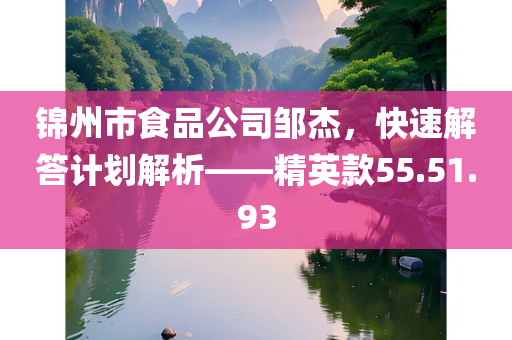 锦州市食品公司邹杰，快速解答计划解析——精英款55.51.93