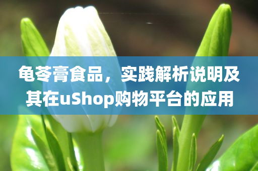 龟苓膏食品，实践解析说明及其在uShop购物平台的应用