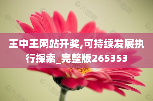 王中王网站开奖,可持续发展执行探索_完整版265353