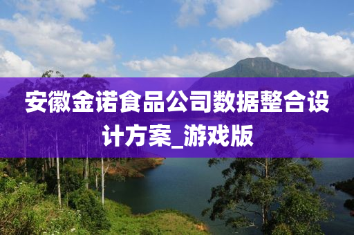 安徽金诺食品公司数据整合设计方案_游戏版