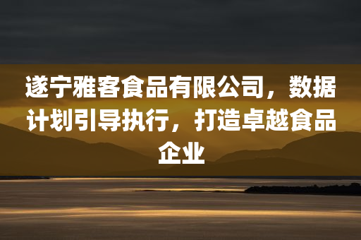 遂宁雅客食品有限公司，数据计划引导执行，打造卓越食品企业