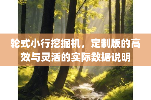 轮式小行挖掘机，定制版的高效与灵活的实际数据说明