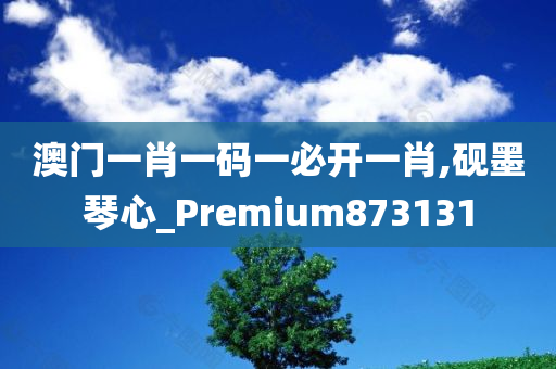 澳门一肖一码一必开一肖,砚墨琴心_Premium873131