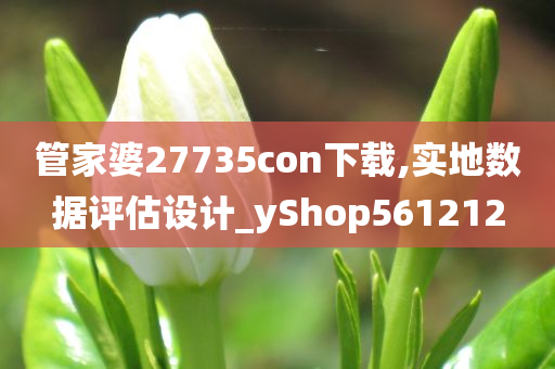 管家婆27735con下载,实地数据评估设计_yShop561212